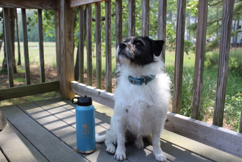 Vibrant Wave 32 Oz  Tumblers - Ocean Blue or Teal