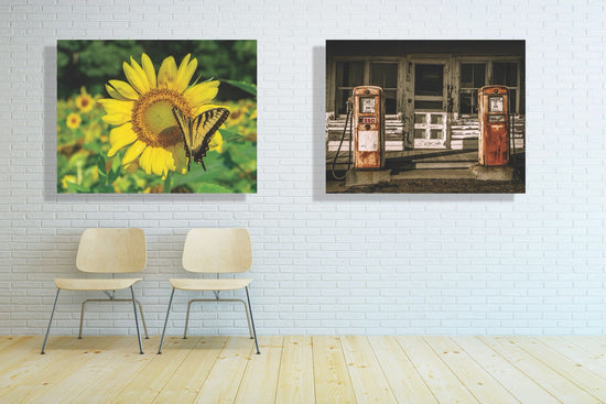 Happiness by Wright Coast Photography - Butterfly and Sunflower